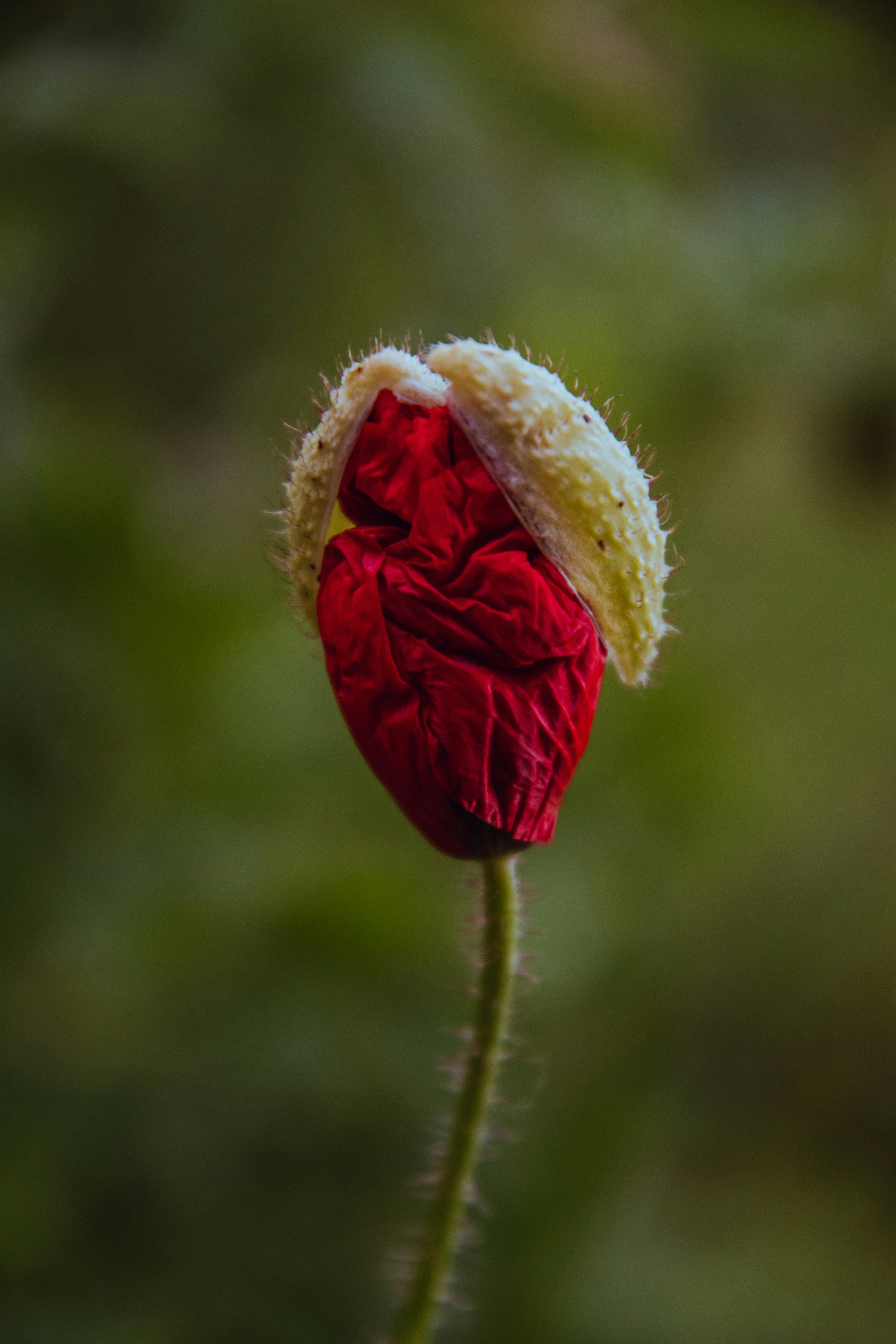 Photo by katerinalandia
