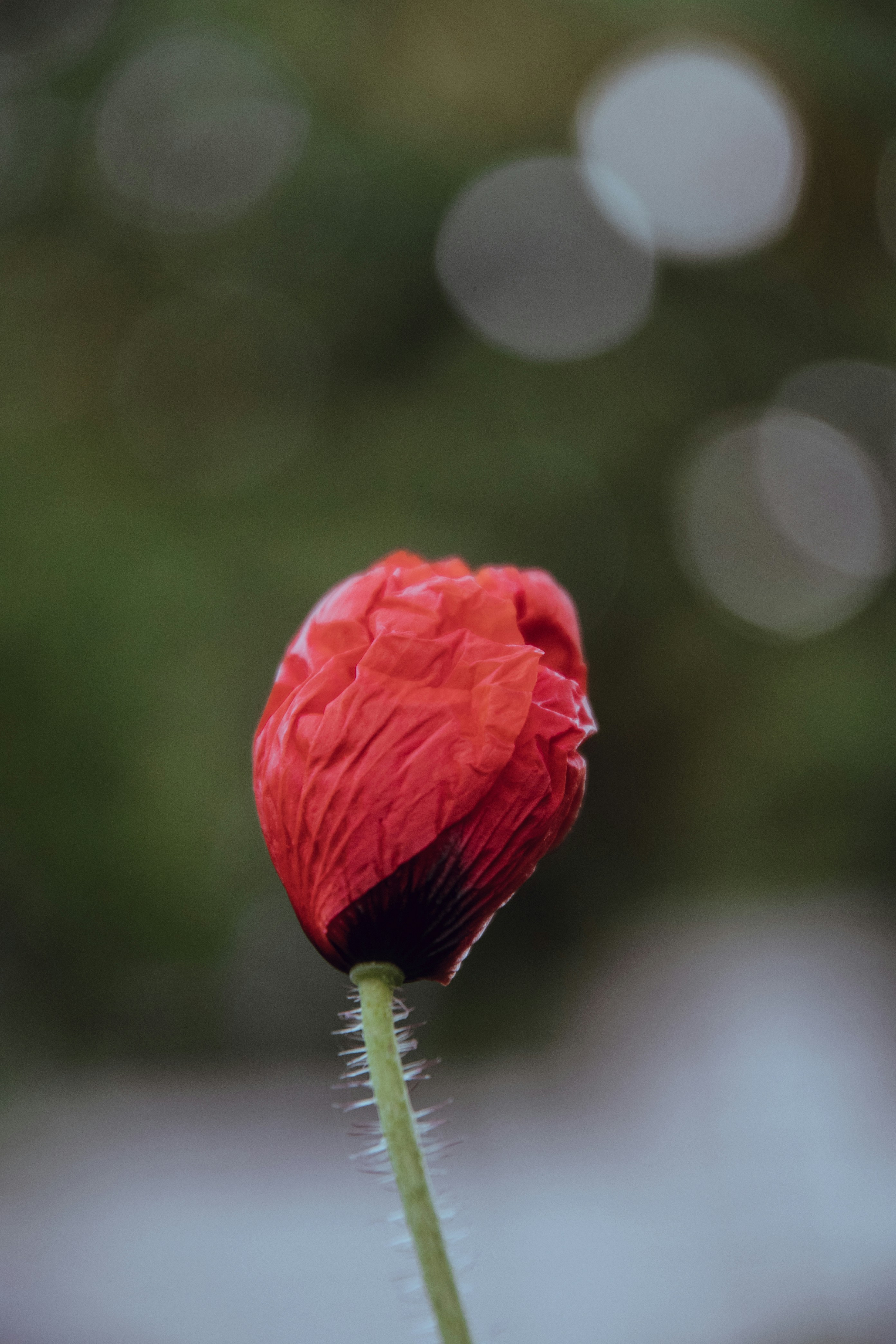 Photo by katerinalandia
