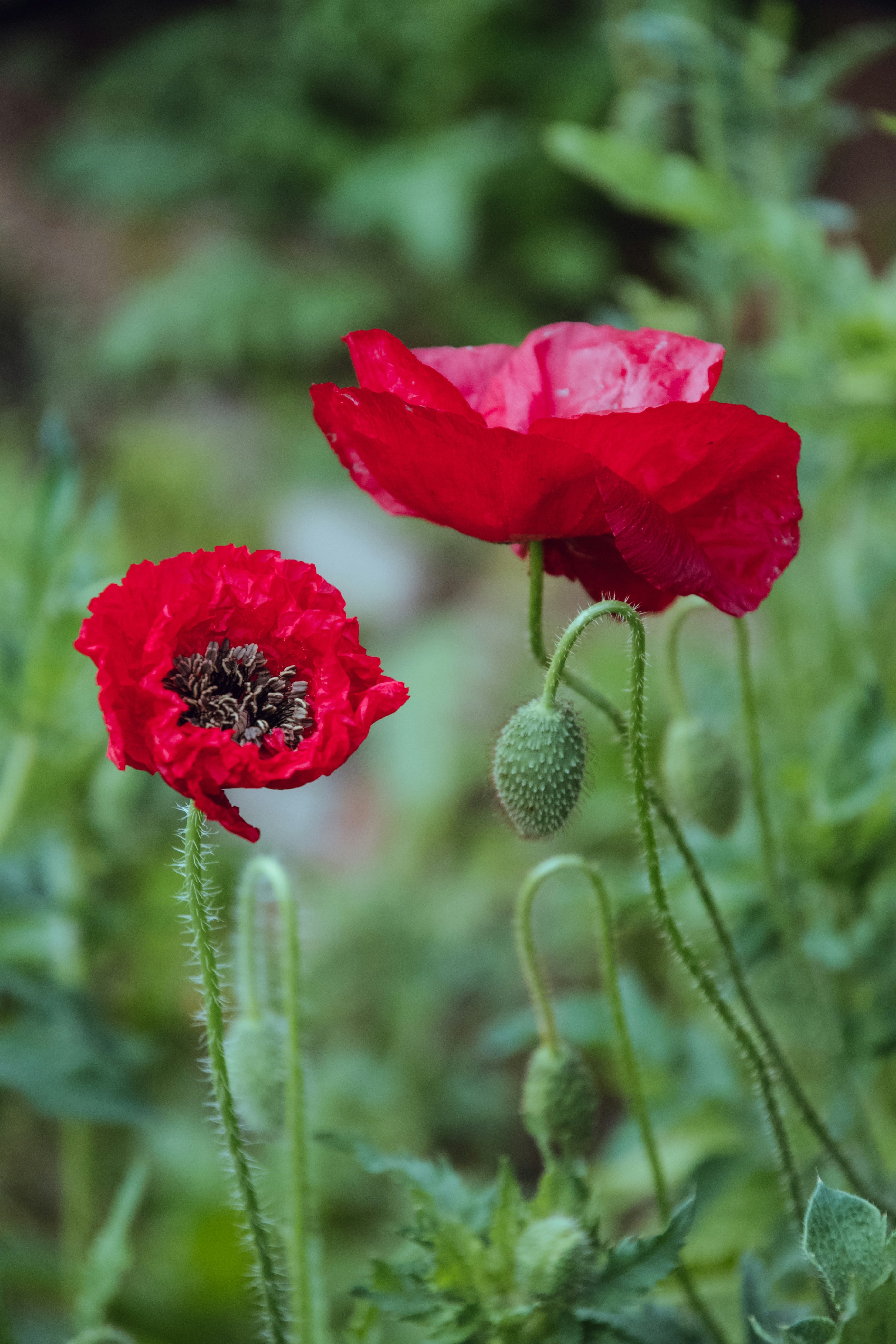 Photo by katerinalandia