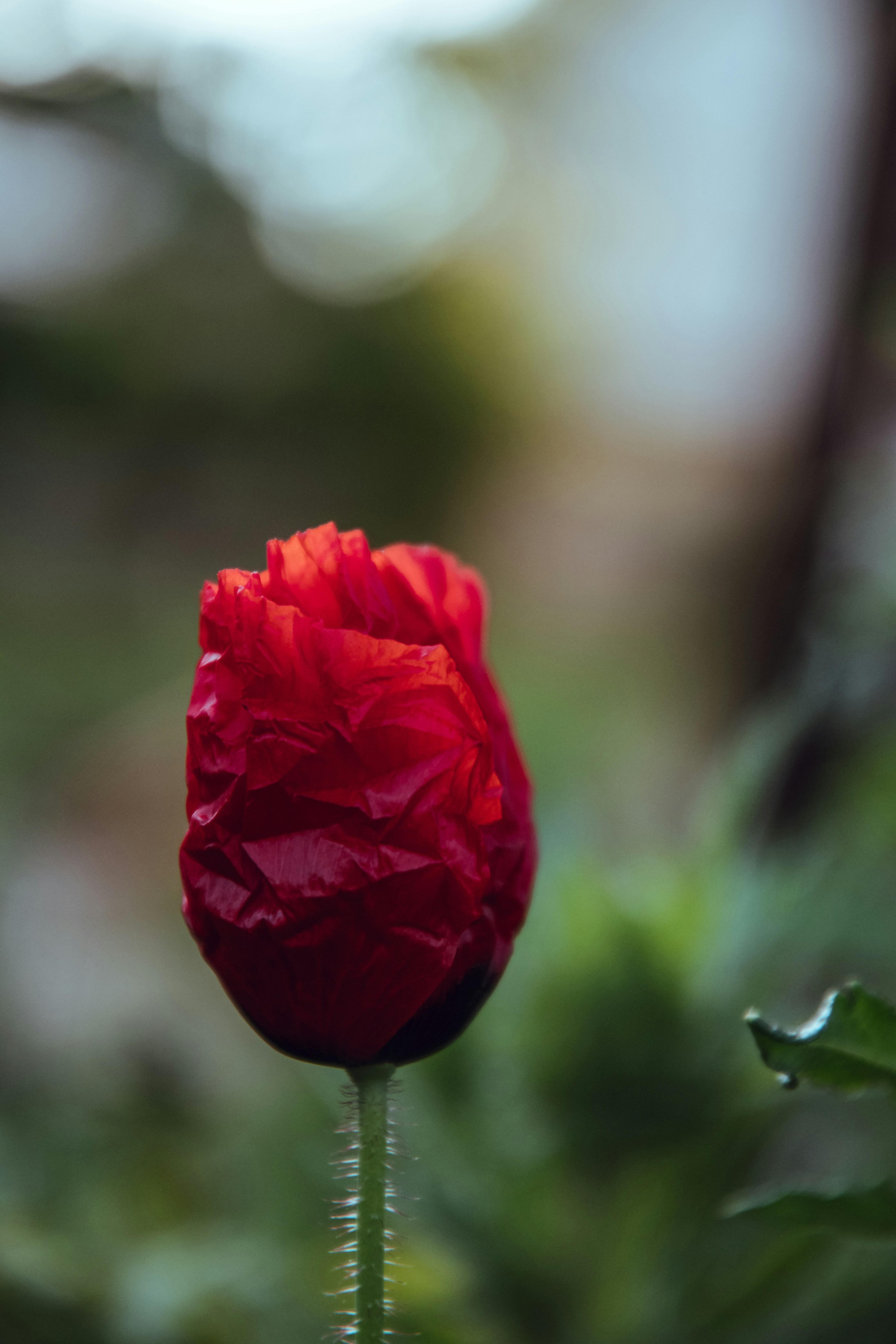 Photo by katerinalandia