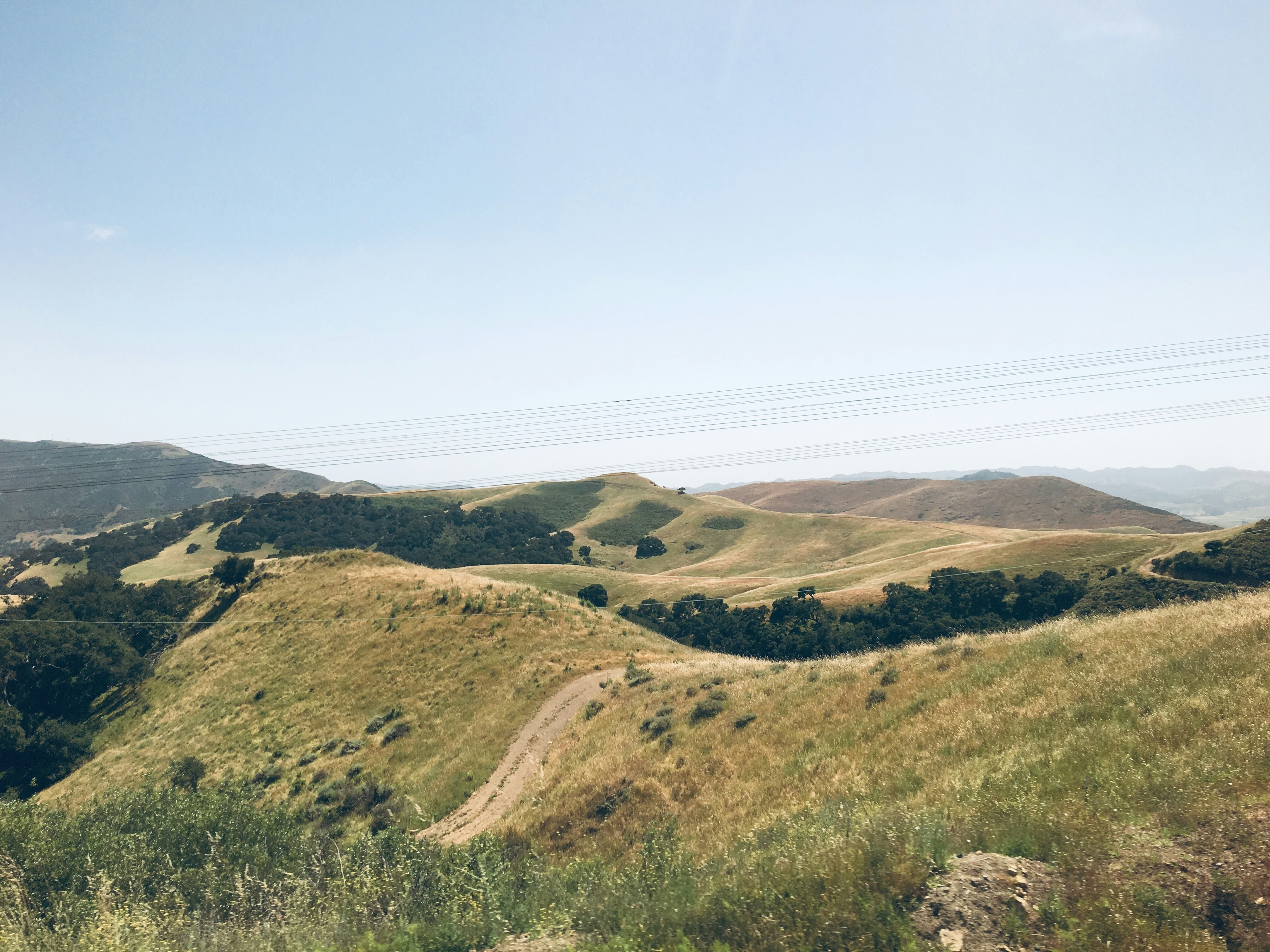 Photo by maiquynhtruong