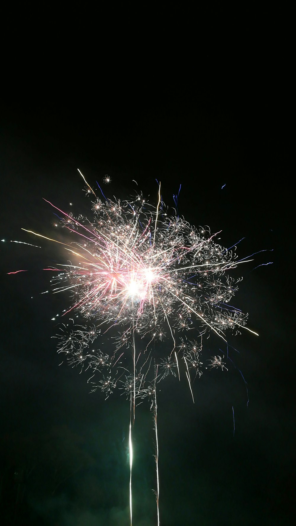 fireworks display in dark night sky