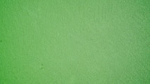 green background