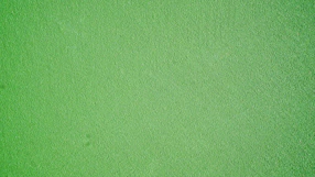green background