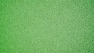 green background