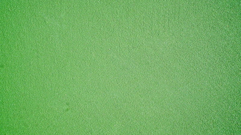 Frisch gestrichene grüne Wand – glatte Oberfläche