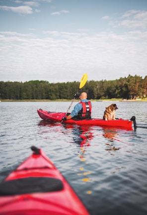 man riding kayak with dog near forest