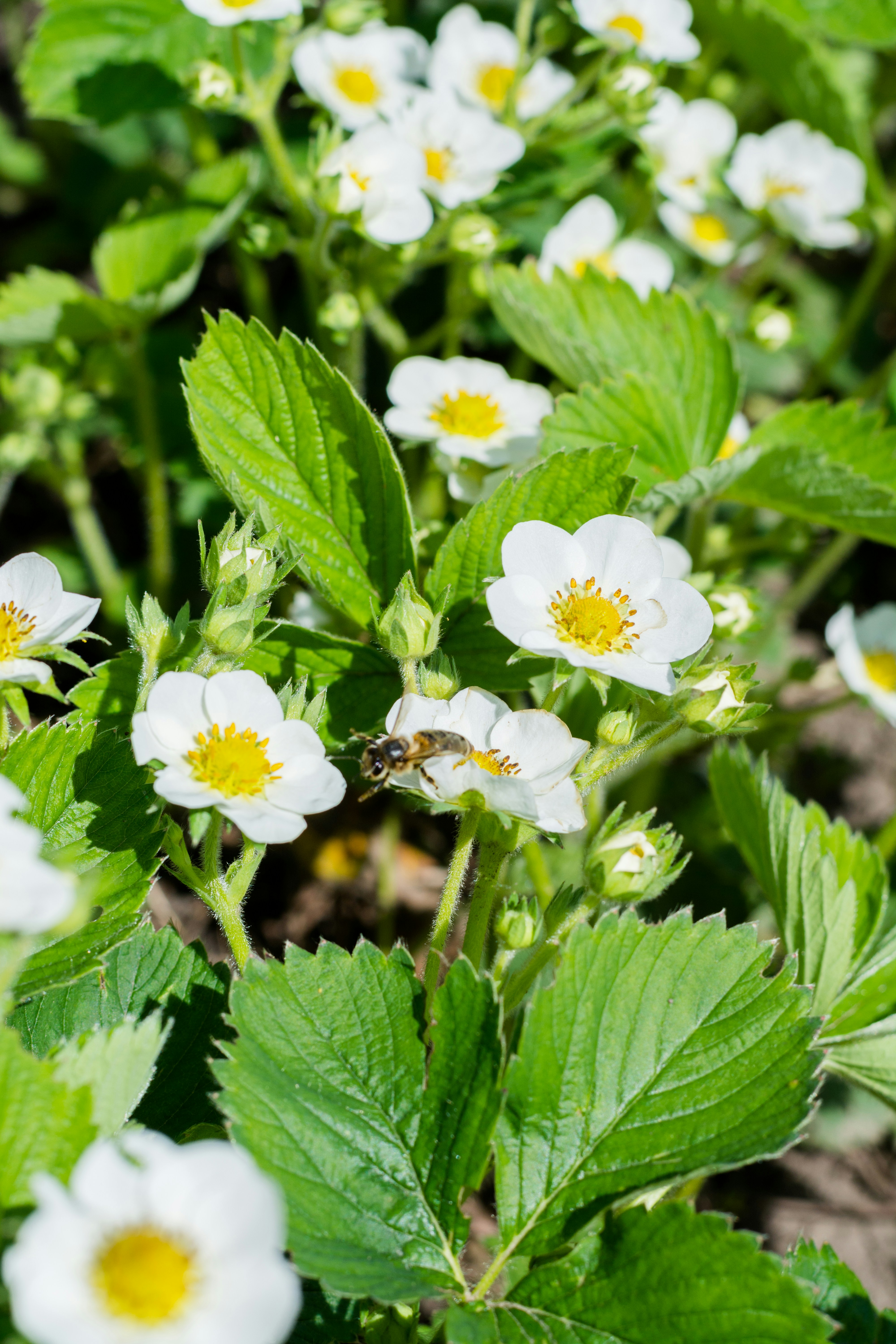 Photo by eugenivy_now