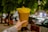 A hand is holding a brown paper cone with bright yellow tissue or cloth peeking out from the top. The background is blurred, showing parked cars and green trees, suggesting an outdoor setting.