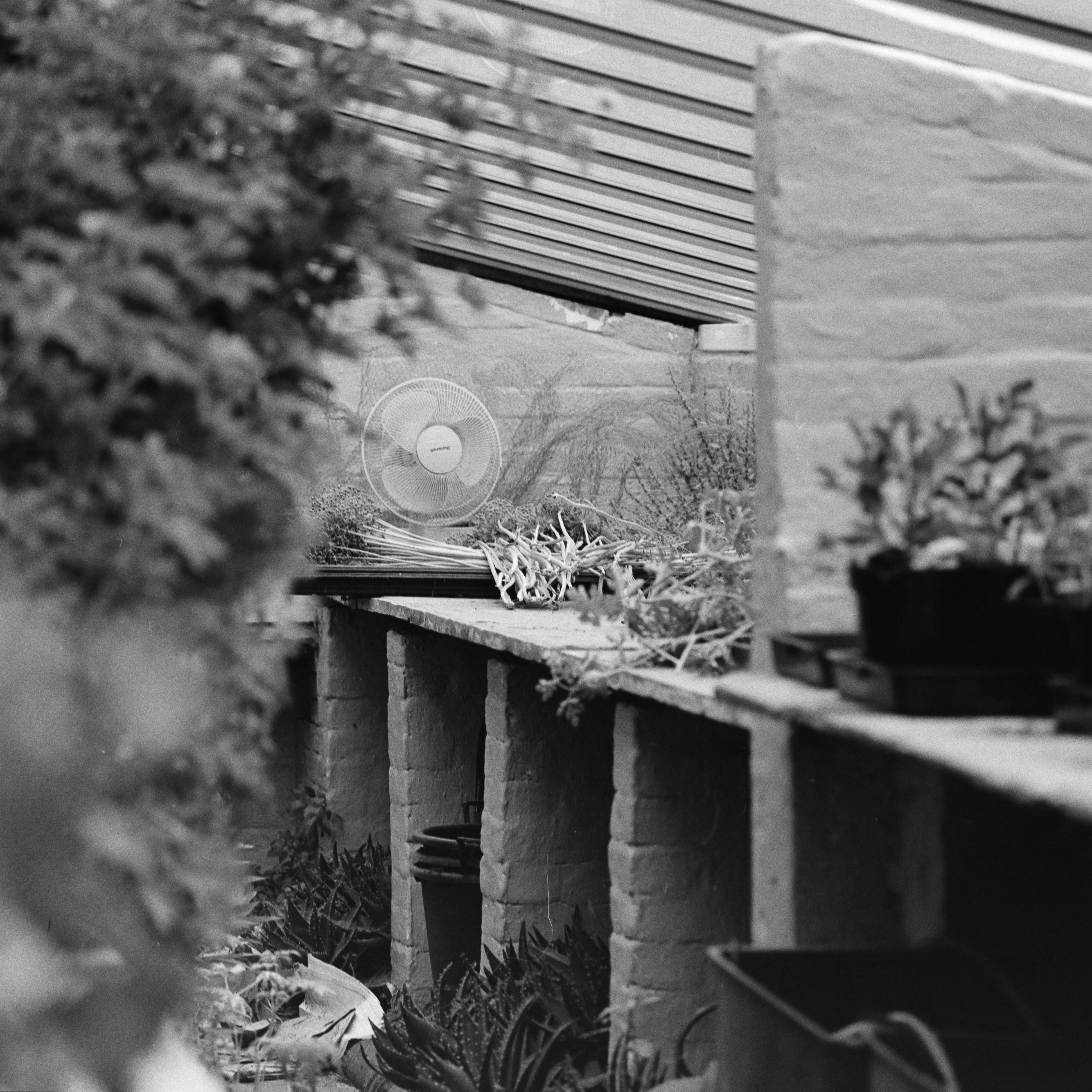 Photo by anniespratt