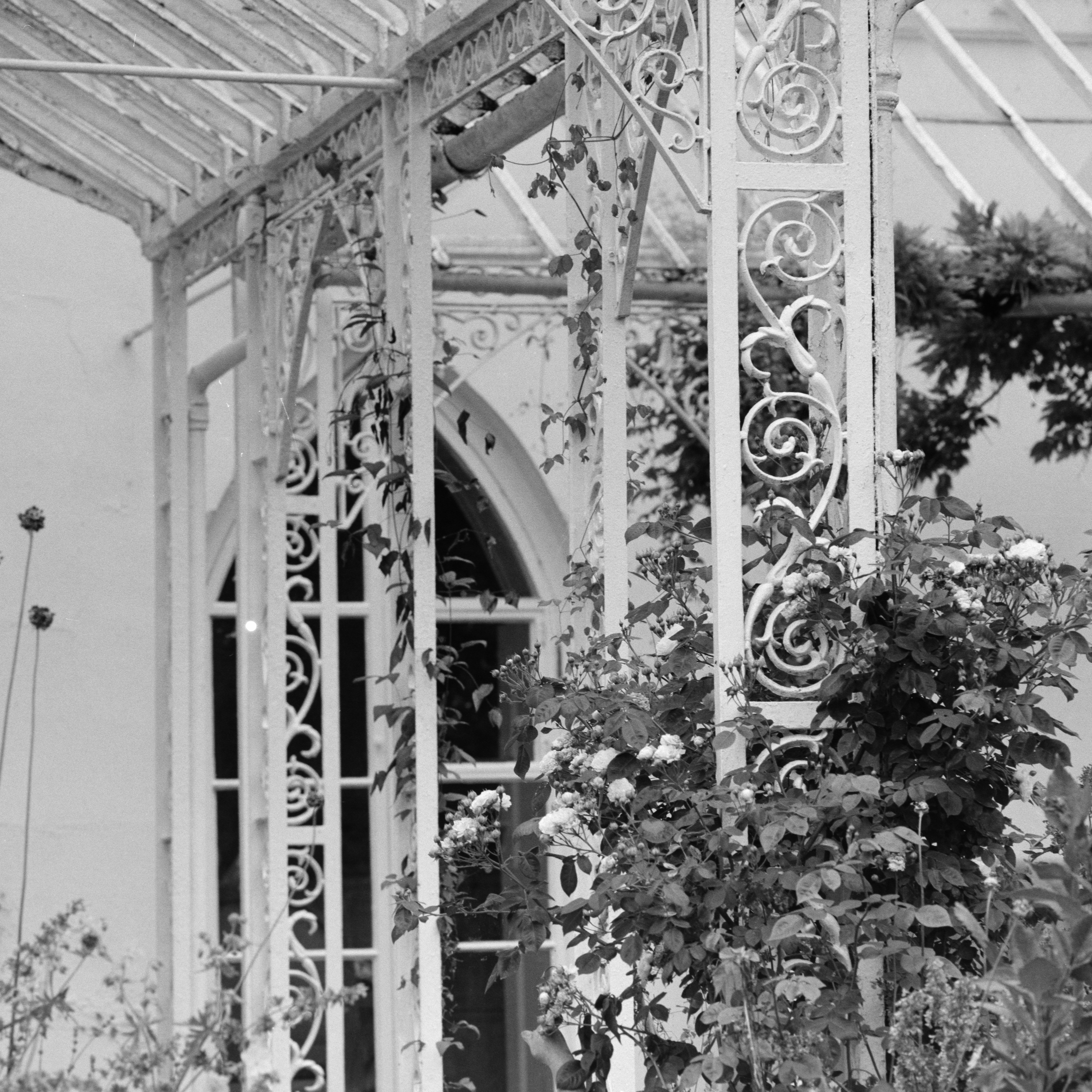 Photo by anniespratt