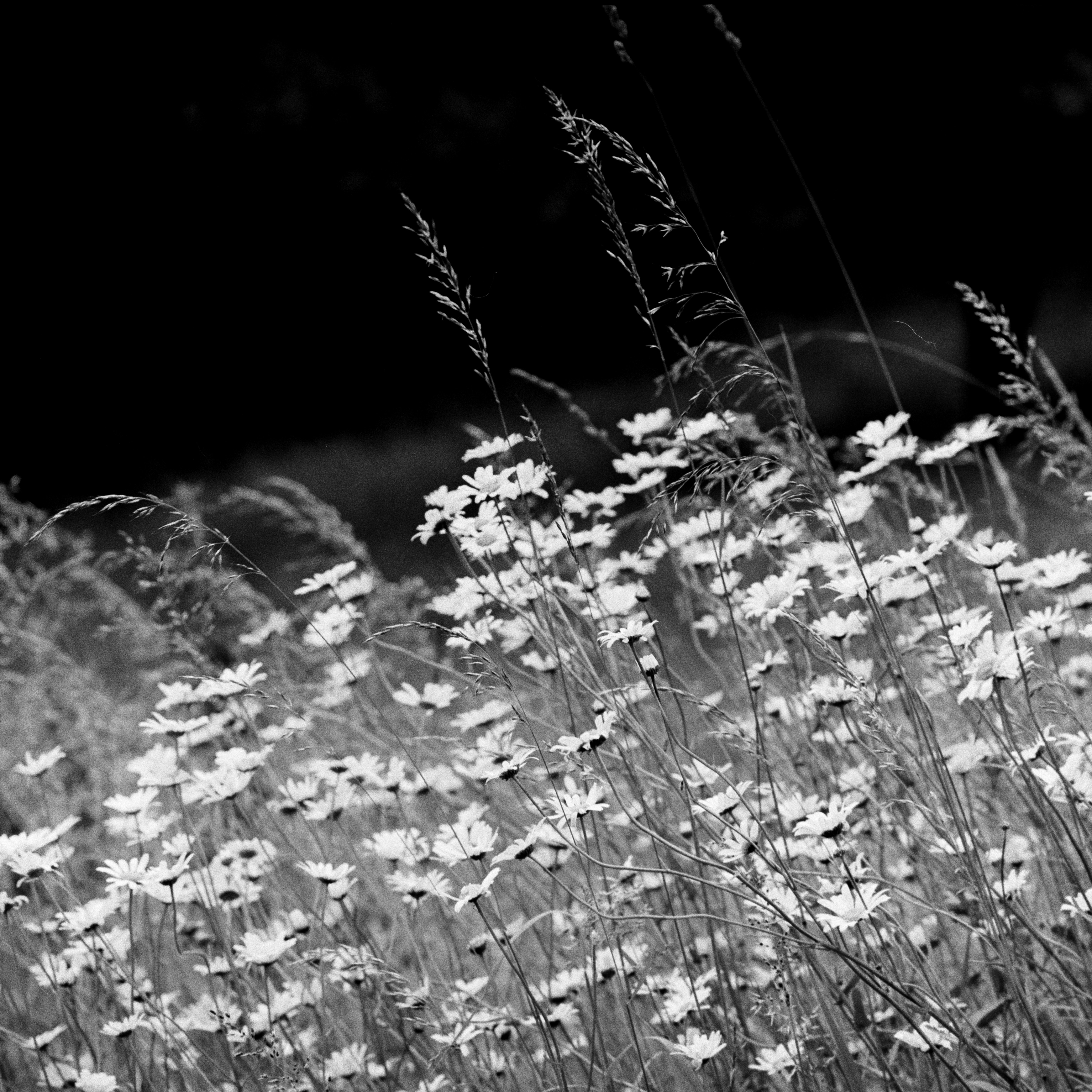 Photo by anniespratt