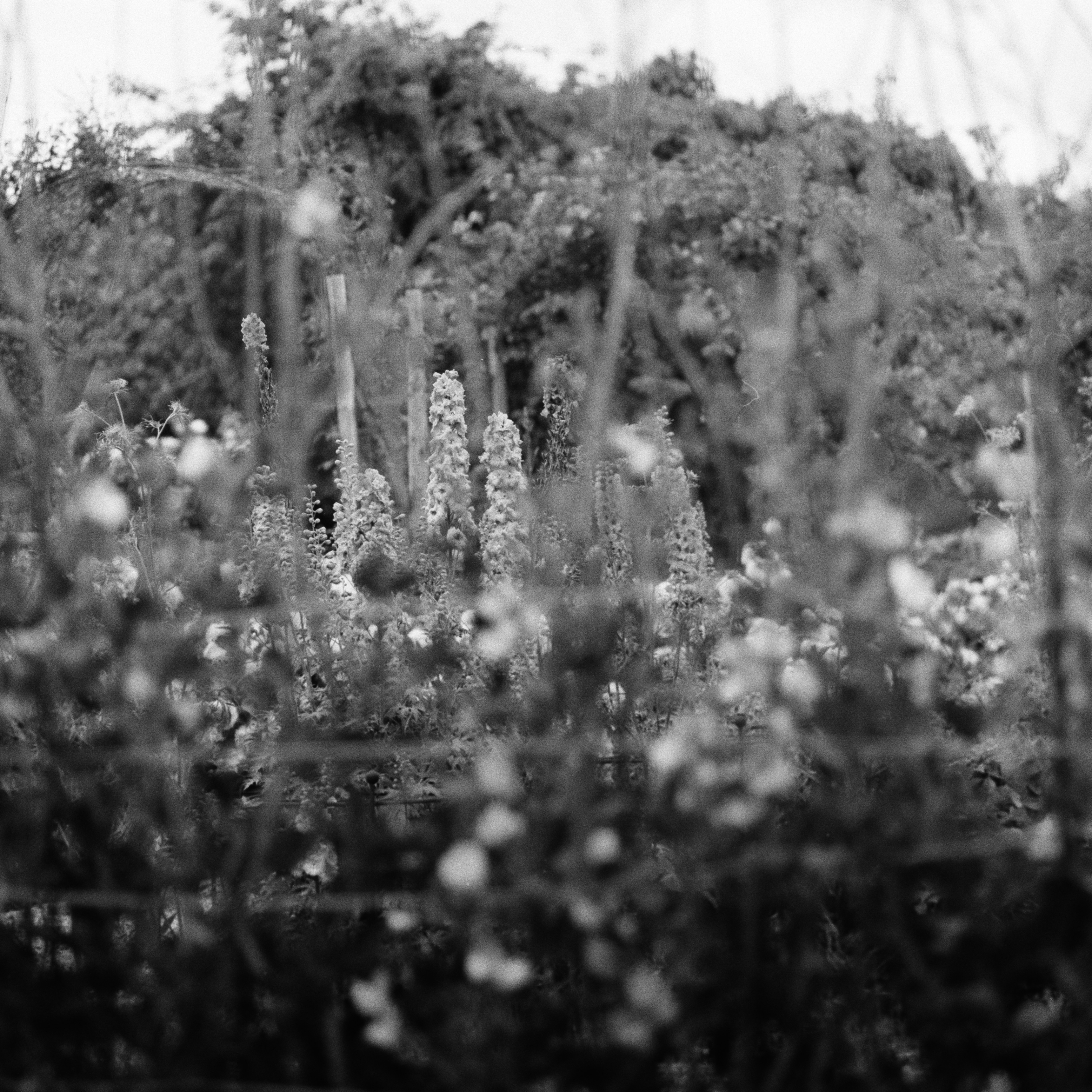 Photo by anniespratt