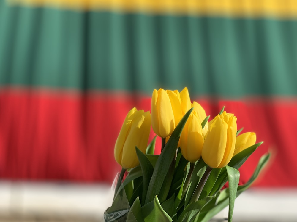 bouquet de tulipes jaunes