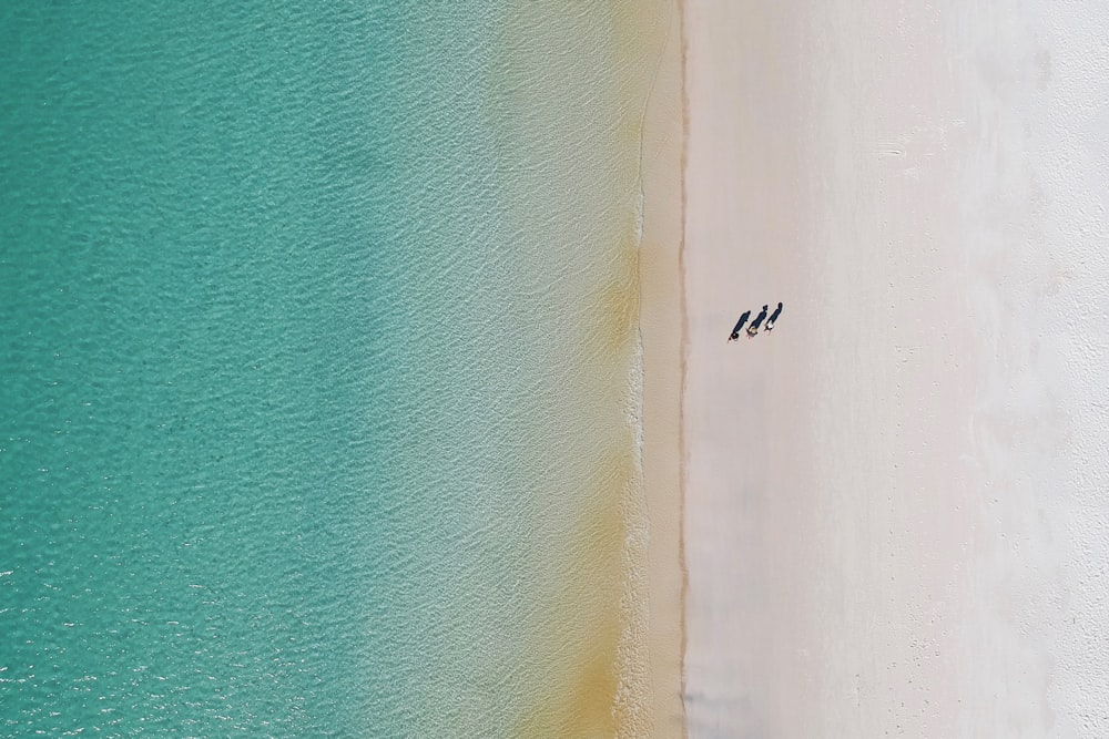 two people walking on a beach next to the ocean