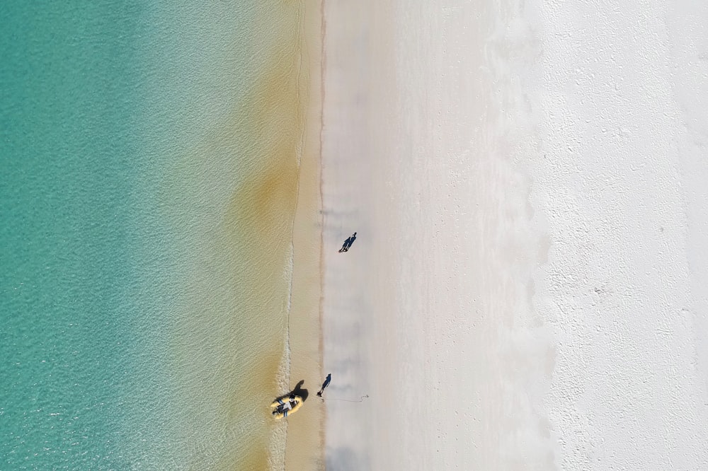 aerial photography of person riding boat beside seashore