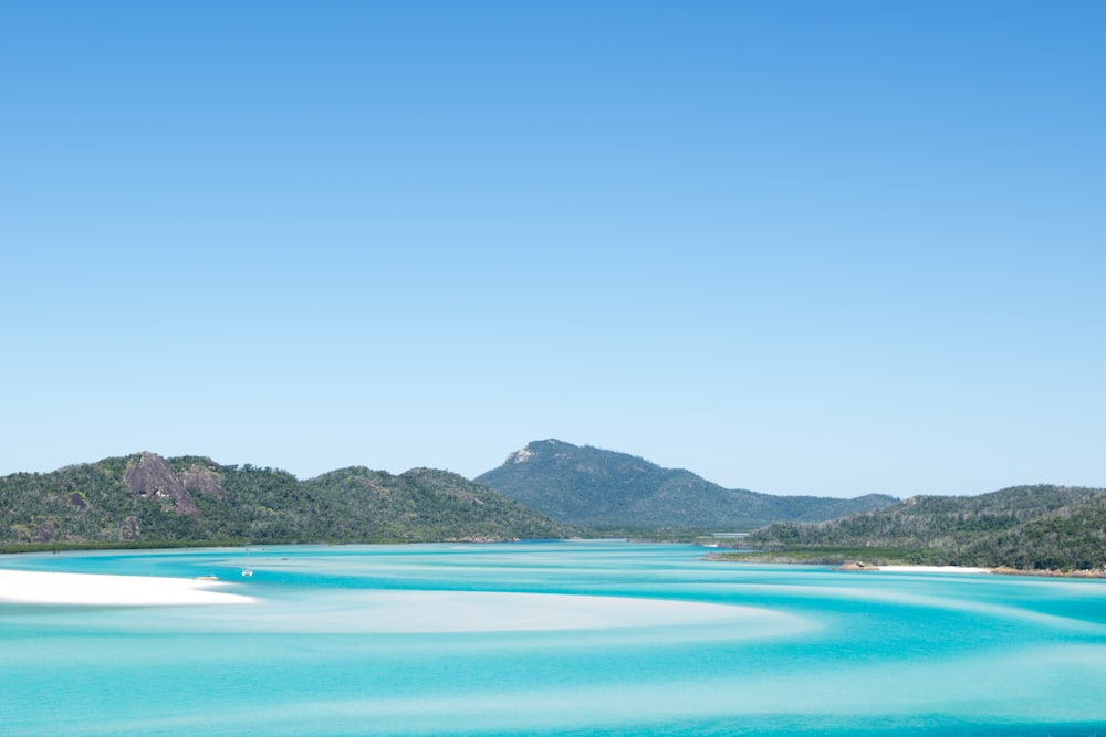 land in a body of water during daytime