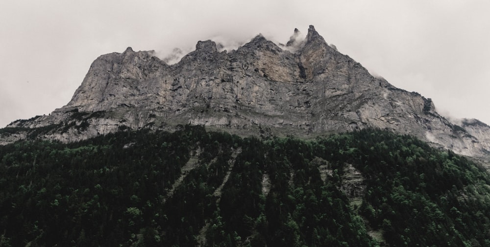 landscape photography of green and gray mountain