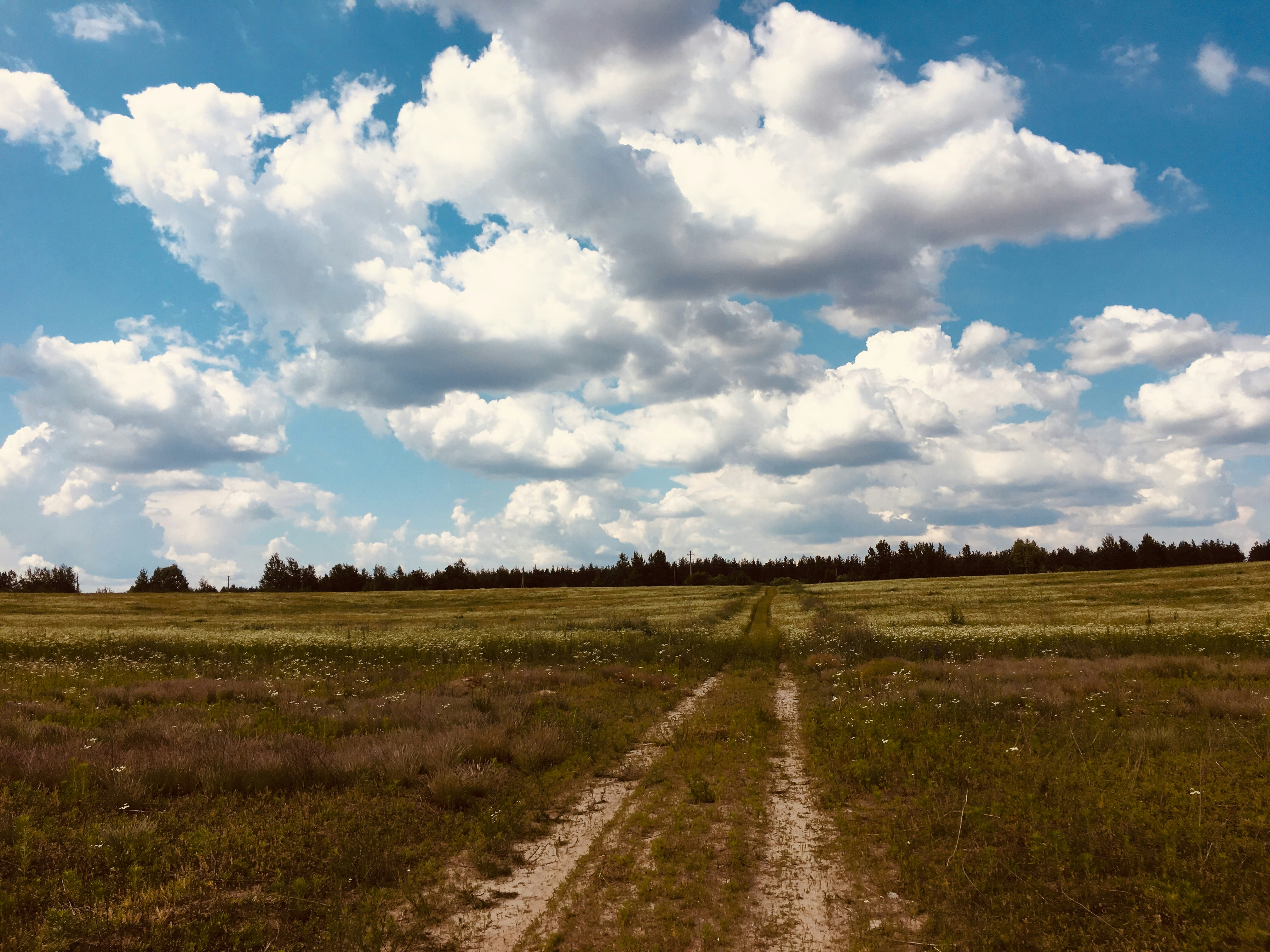 Photo by zbogdan7