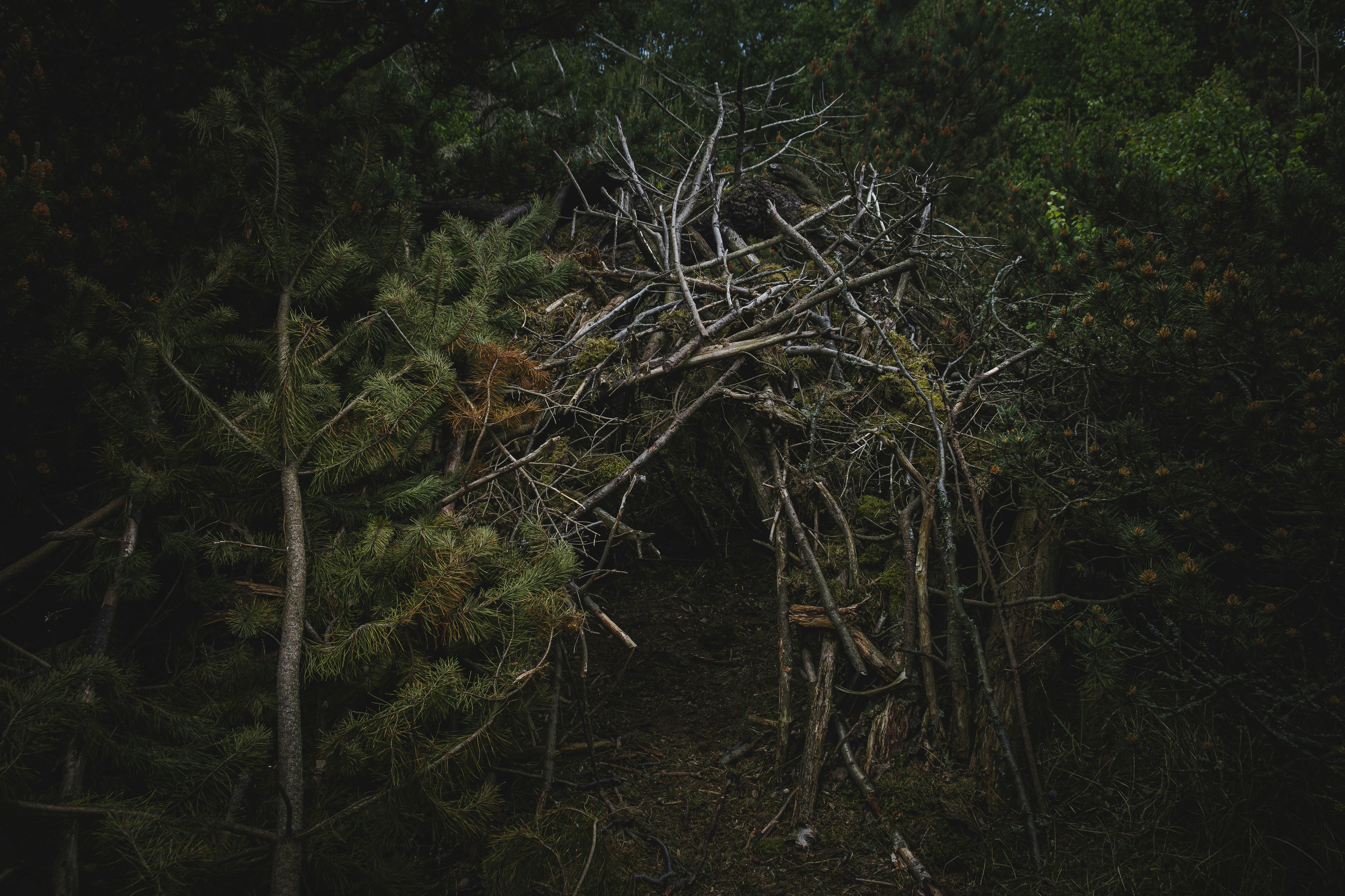 Photo by tomhenning