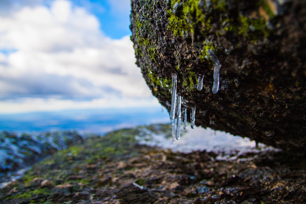 Fotografía de enfoque selectivo de gotas de agua sobre piedra