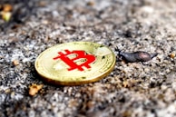 A gold-colored Bitcoin coin with the red Bitcoin symbol is placed on rough, textured ground. Close to the coin, a small black slug is visible, appearing to move across the surface.