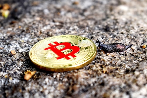 A gold-colored Bitcoin coin with the red Bitcoin symbol is placed on rough, textured ground. Close to the coin, a small black slug is visible, appearing to move across the surface.