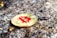 A gold-colored Bitcoin coin with the red Bitcoin symbol is placed on rough, textured ground. Close to the coin, a small black slug is visible, appearing to move across the surface.