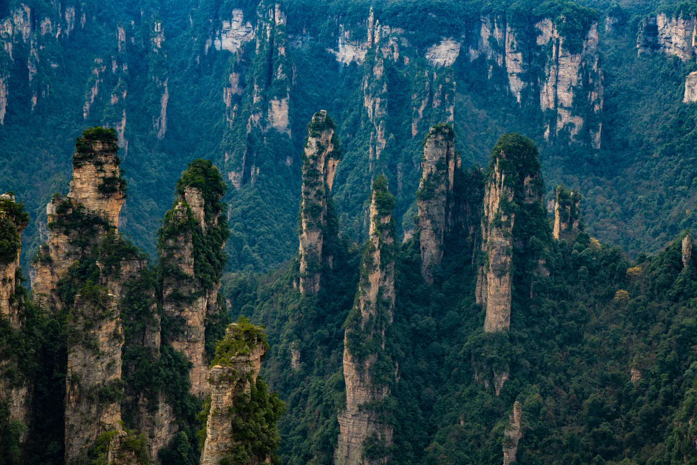 Pilares de piedra cubiertos de vegetación entre la niebla en el Parque Nacional de Zhangjiajie, Hunan, China