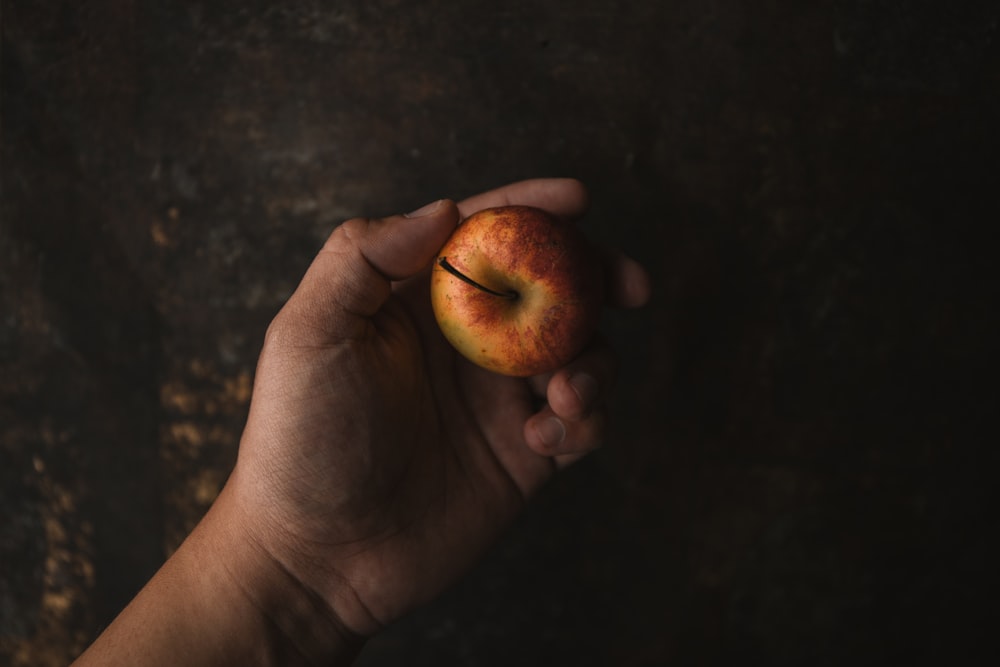person holding apple fruit
