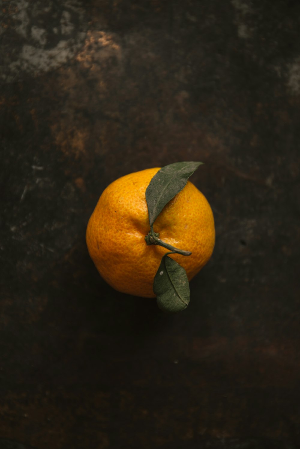 orange fruit