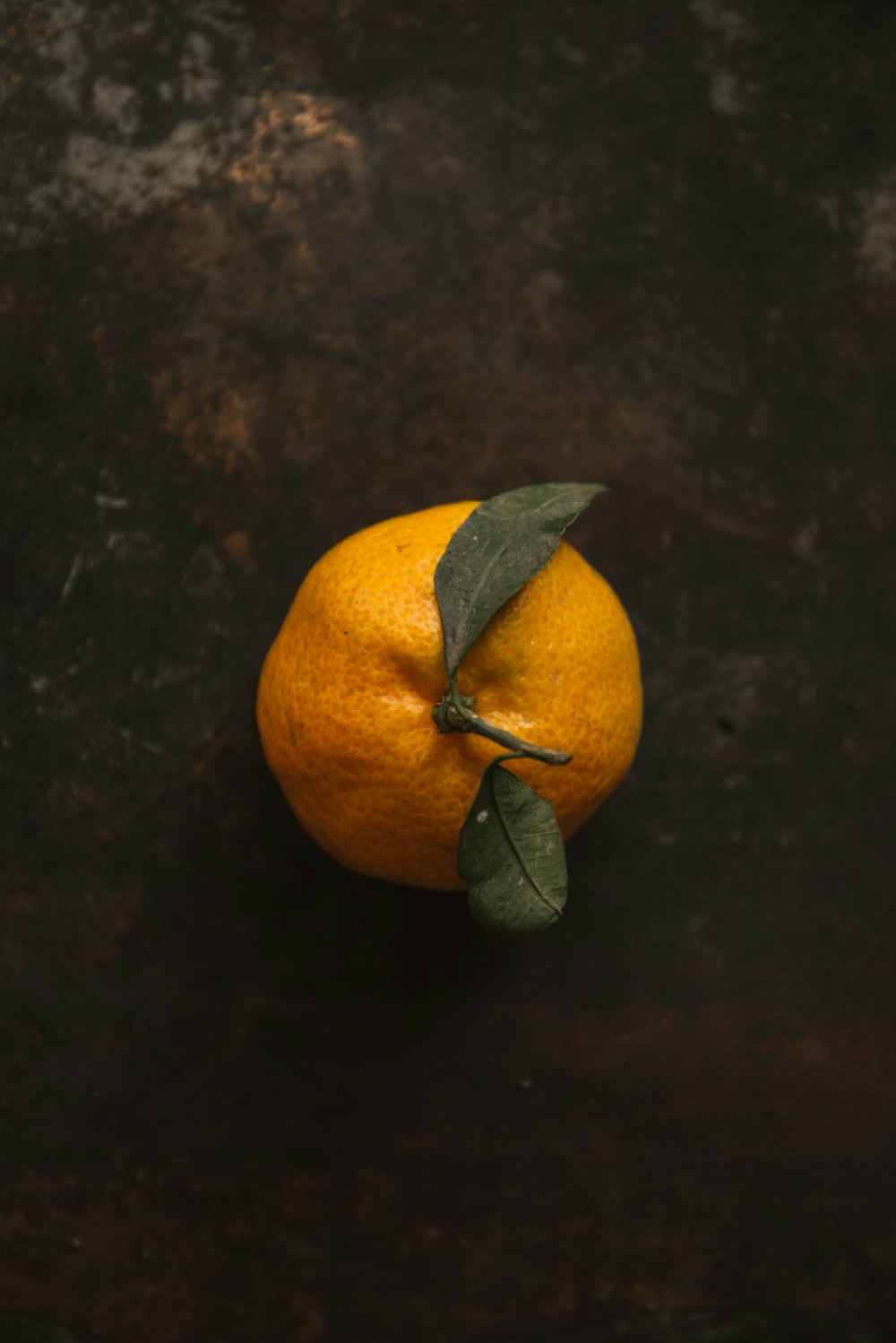 오렌지 과일