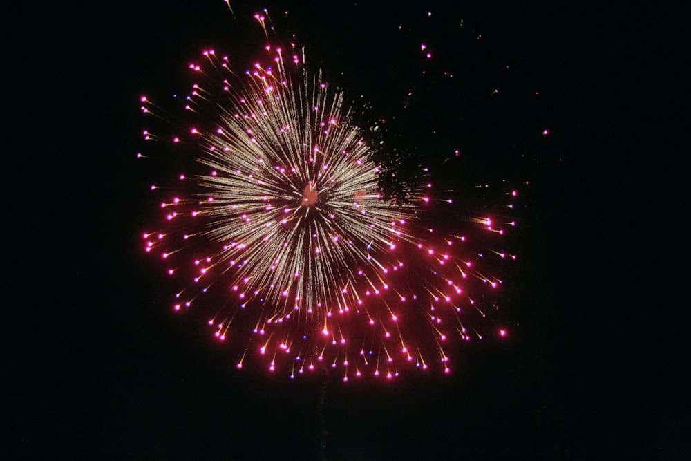 photography of fireworks during nighttime