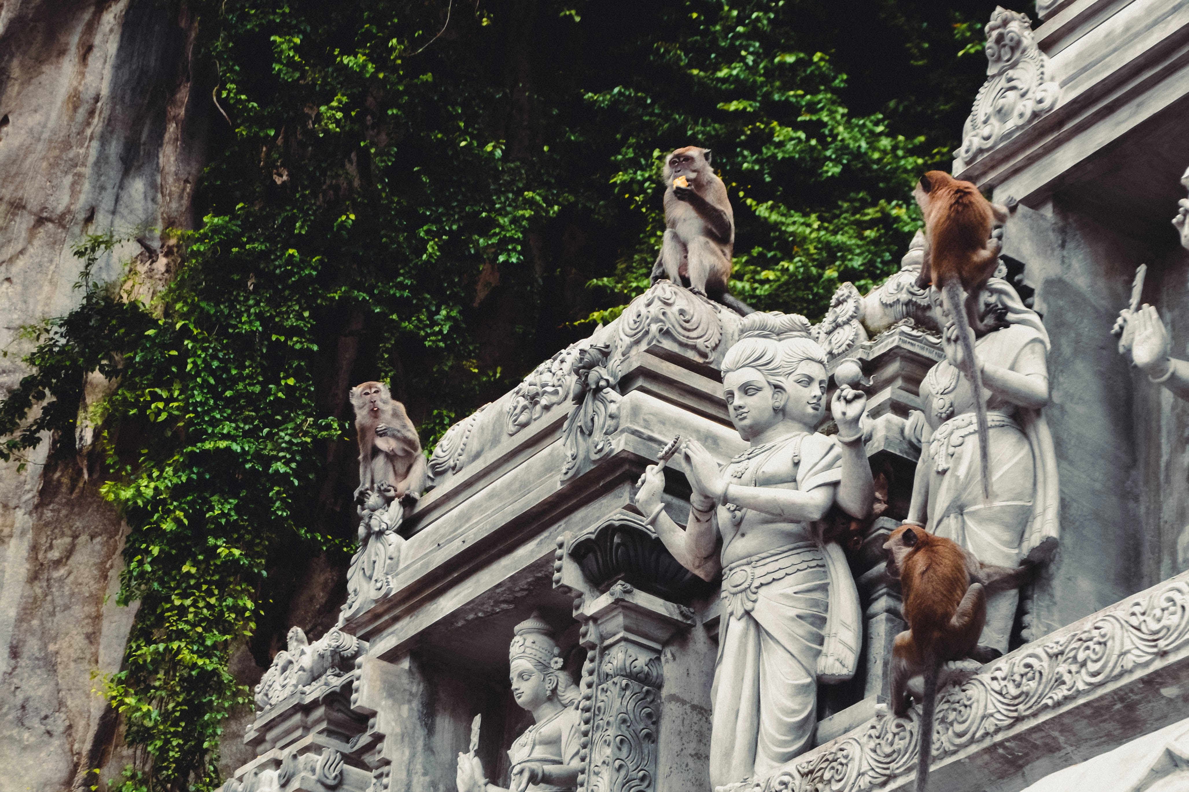 Temple Grandin: Seeing Animal Minds Through Different Eyes (image credits: unsplash)