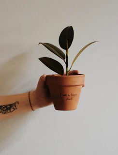 Close-up of a smiling customer holding a lush green plant with a small sign in Mexican Sign Language.