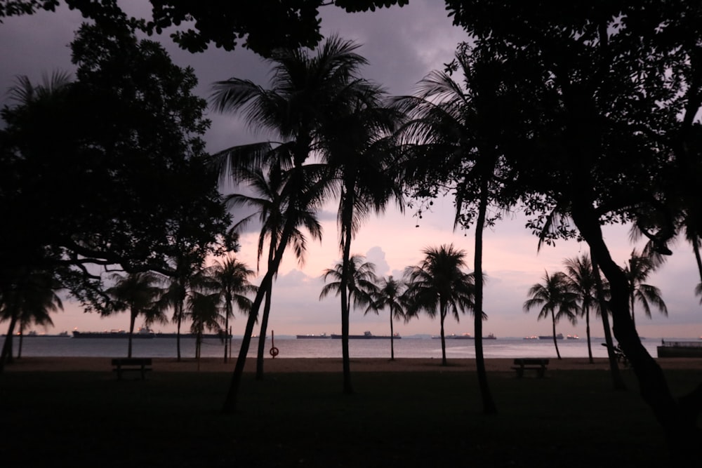 park near body of water