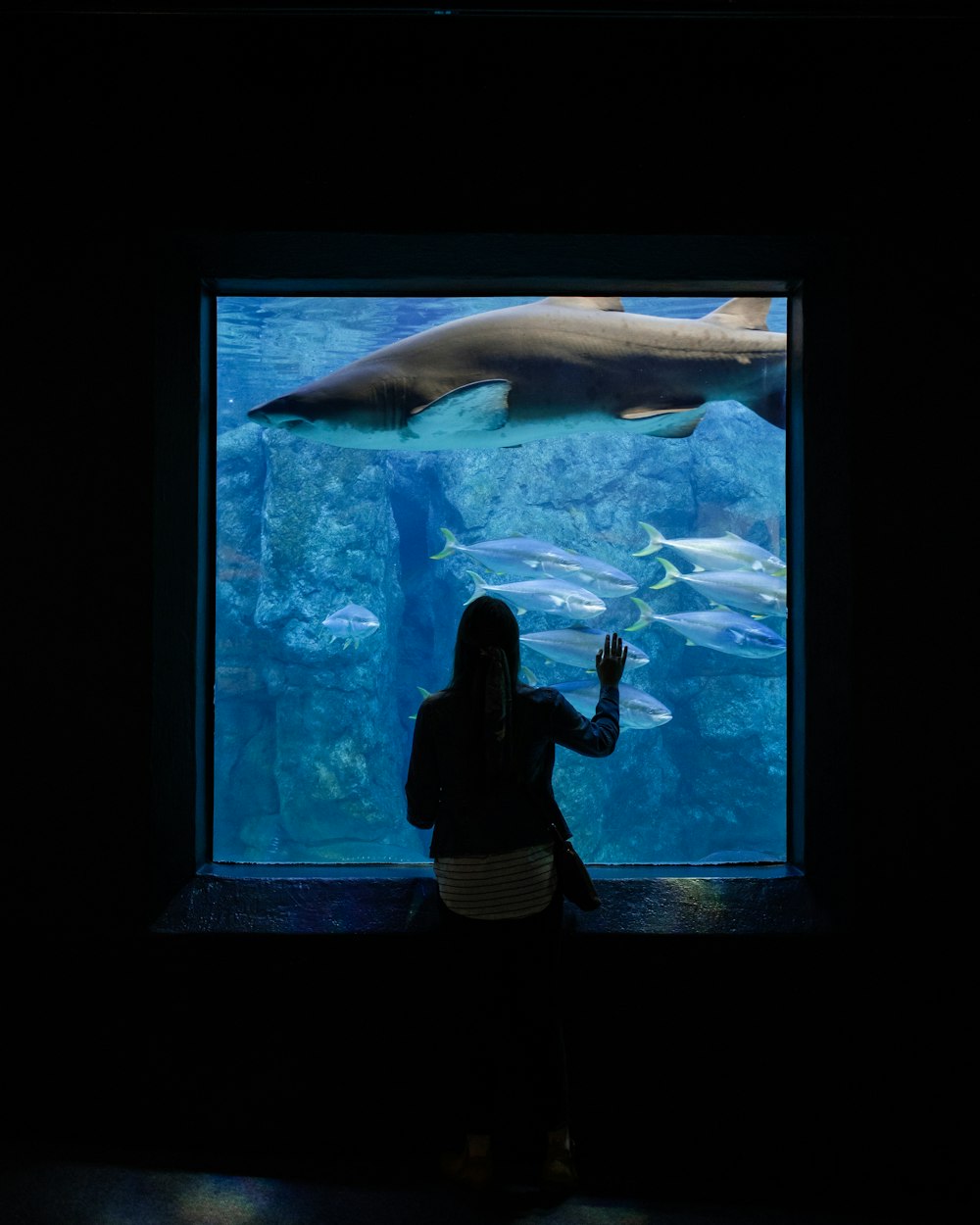 woman standing and facing aquarium window with fish and shark
