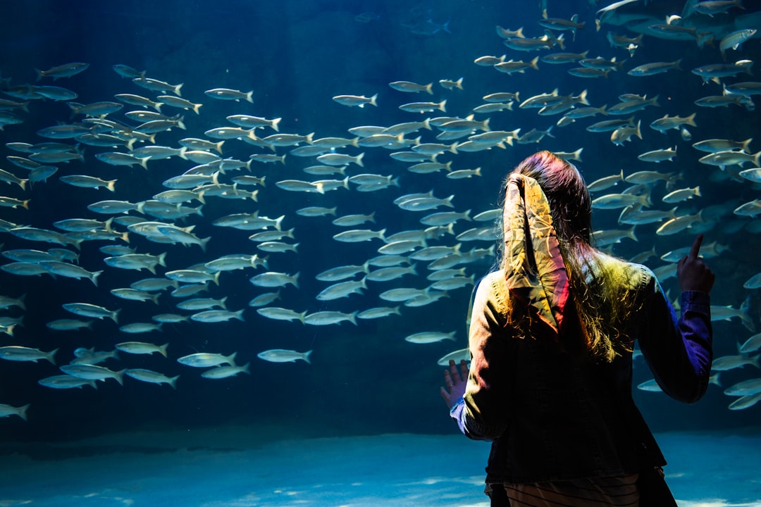 woman standing in front of school of fish