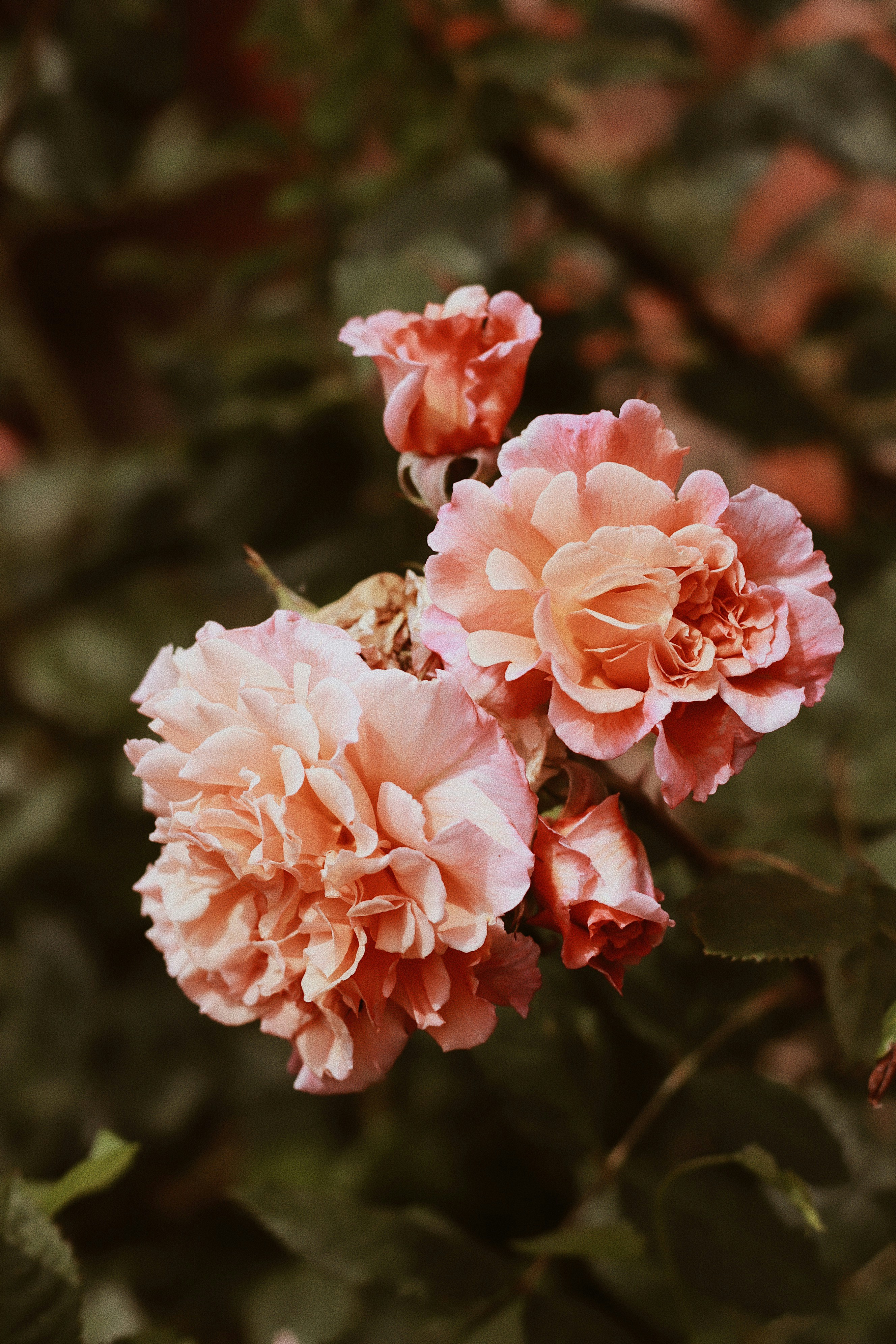 Photo by nesslovetim