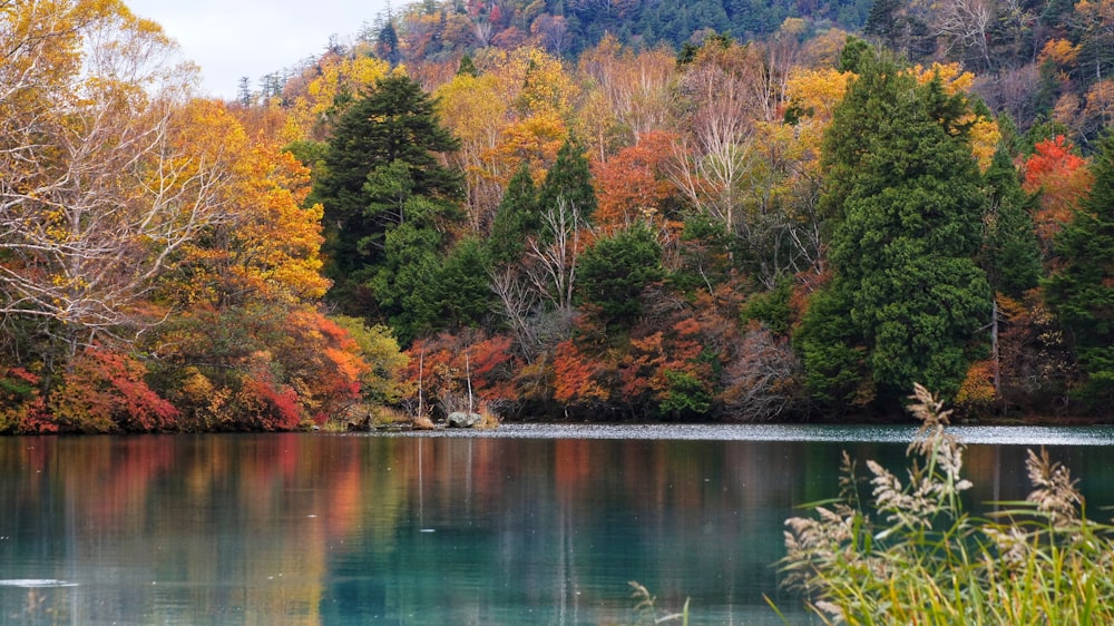 landscape photo of a lake in Autumn