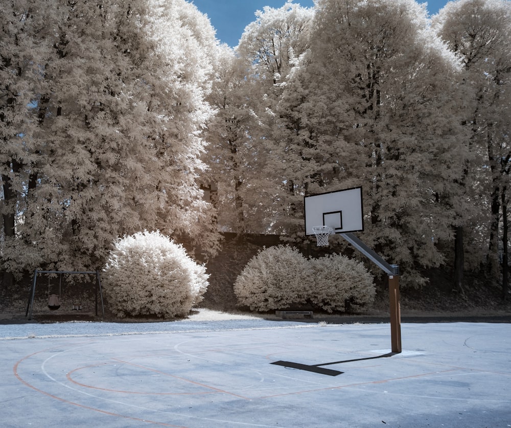 white basketball hoop surrounded by white leafed trees