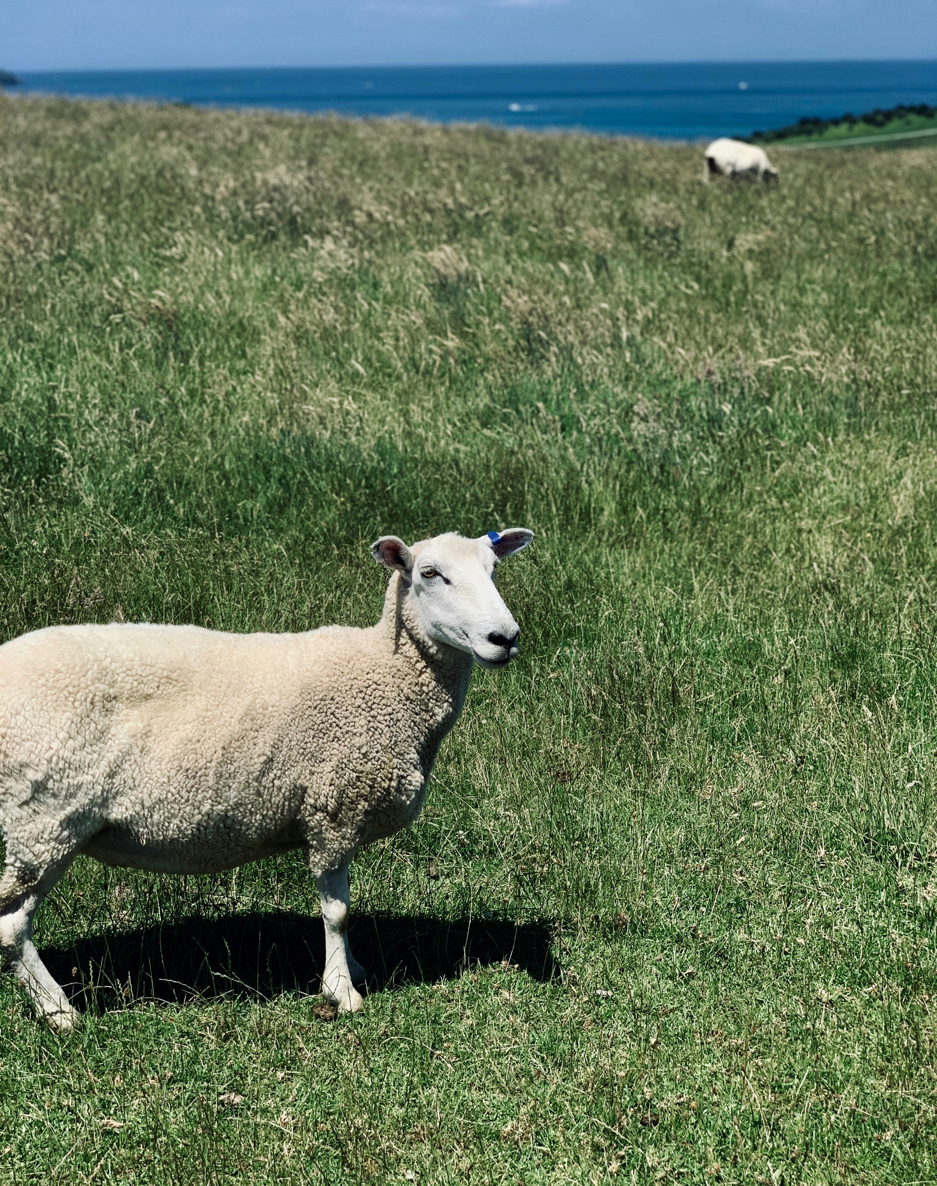 Photo by lachlancormie