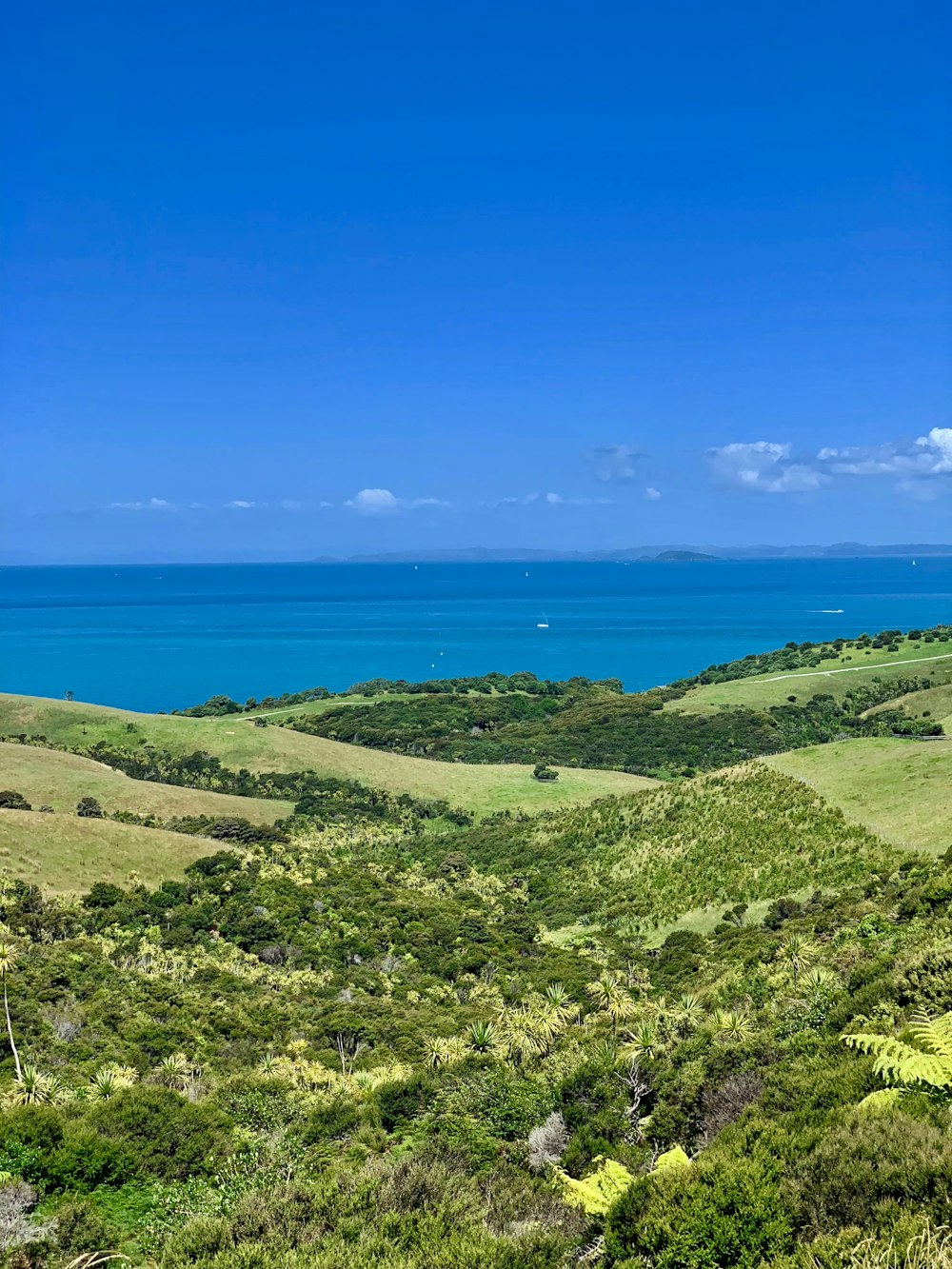 aerial photography of green mountain beside seashore during daytime