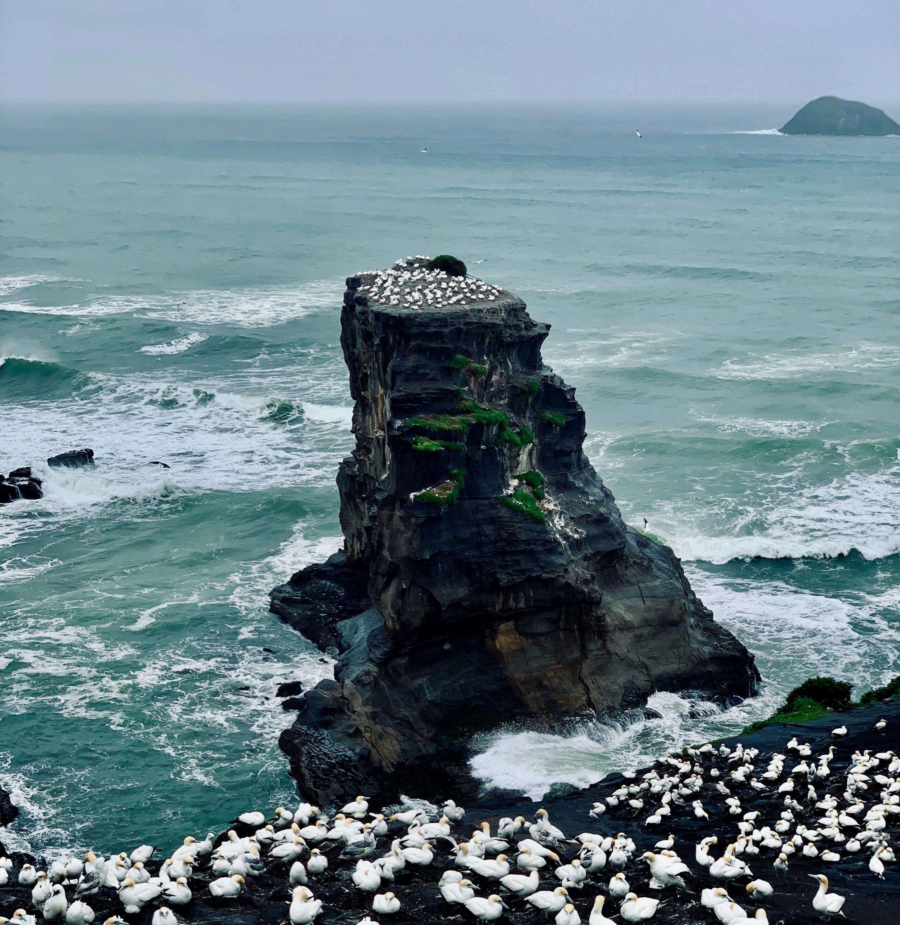 Photo by lachlancormie