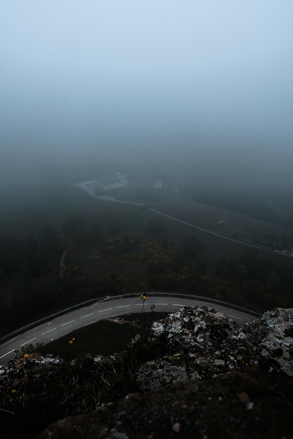 aerial photo of road and trees