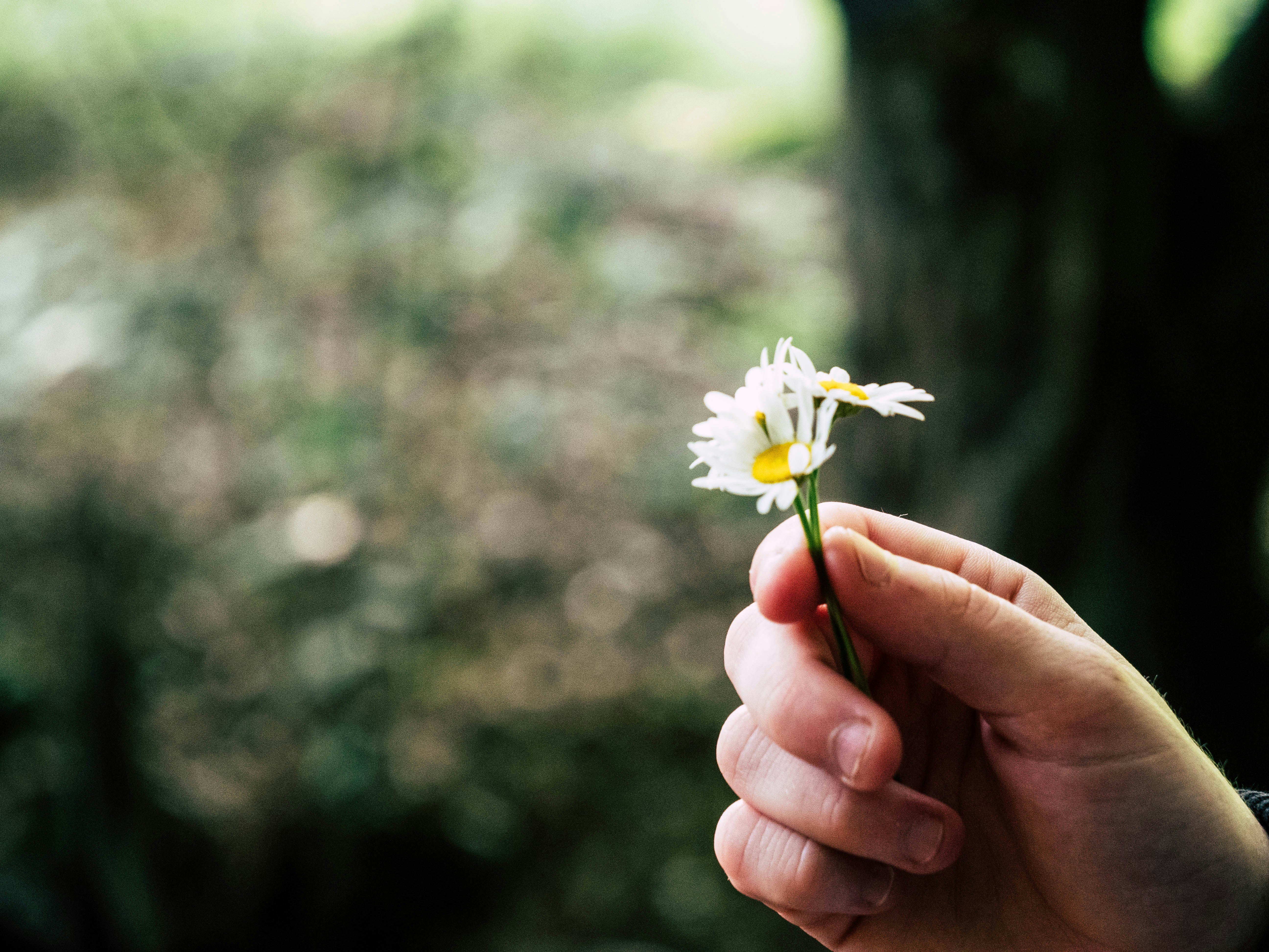 Photo by vladootz_art