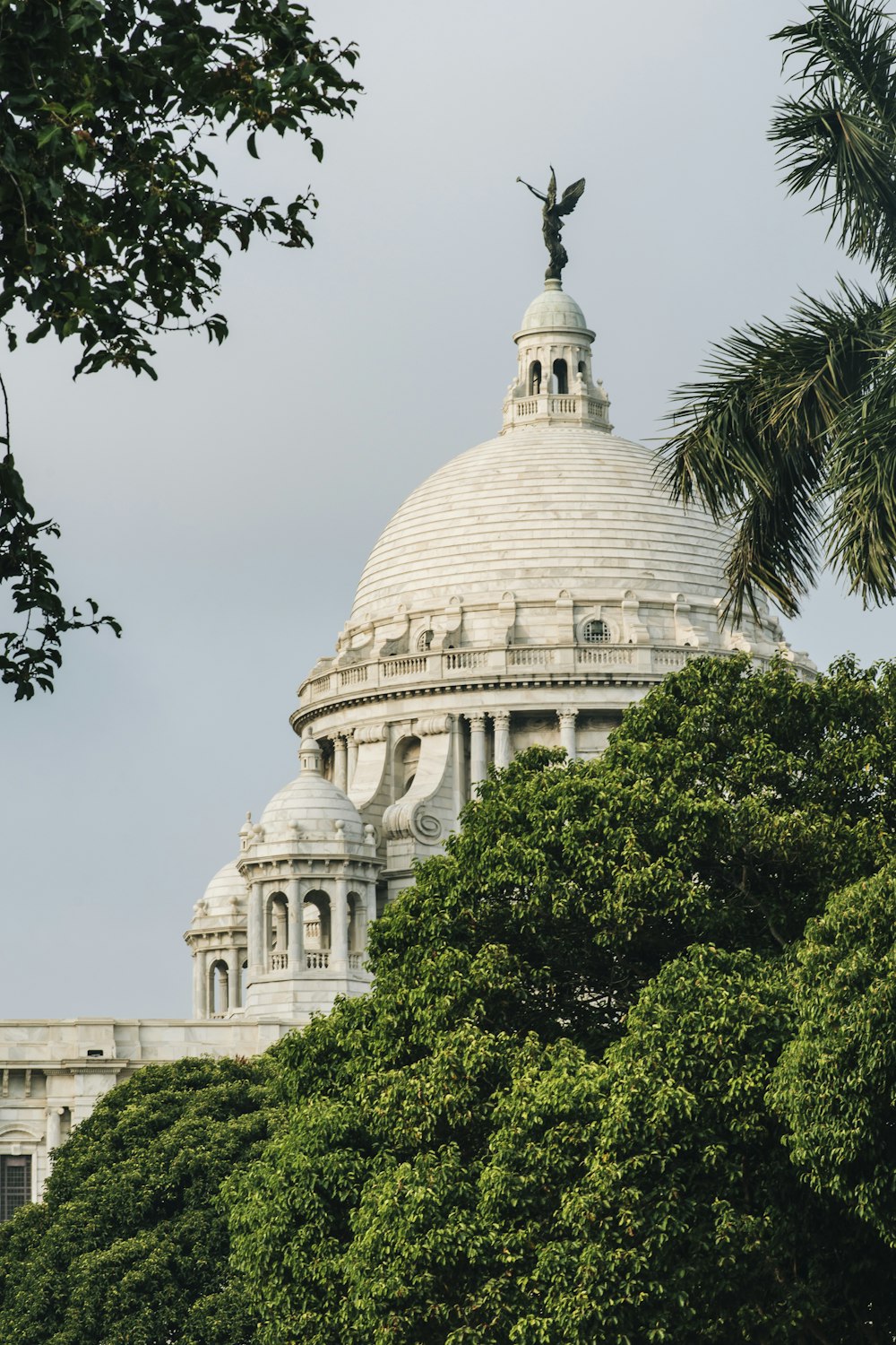 green trees beside white dome building during daytime