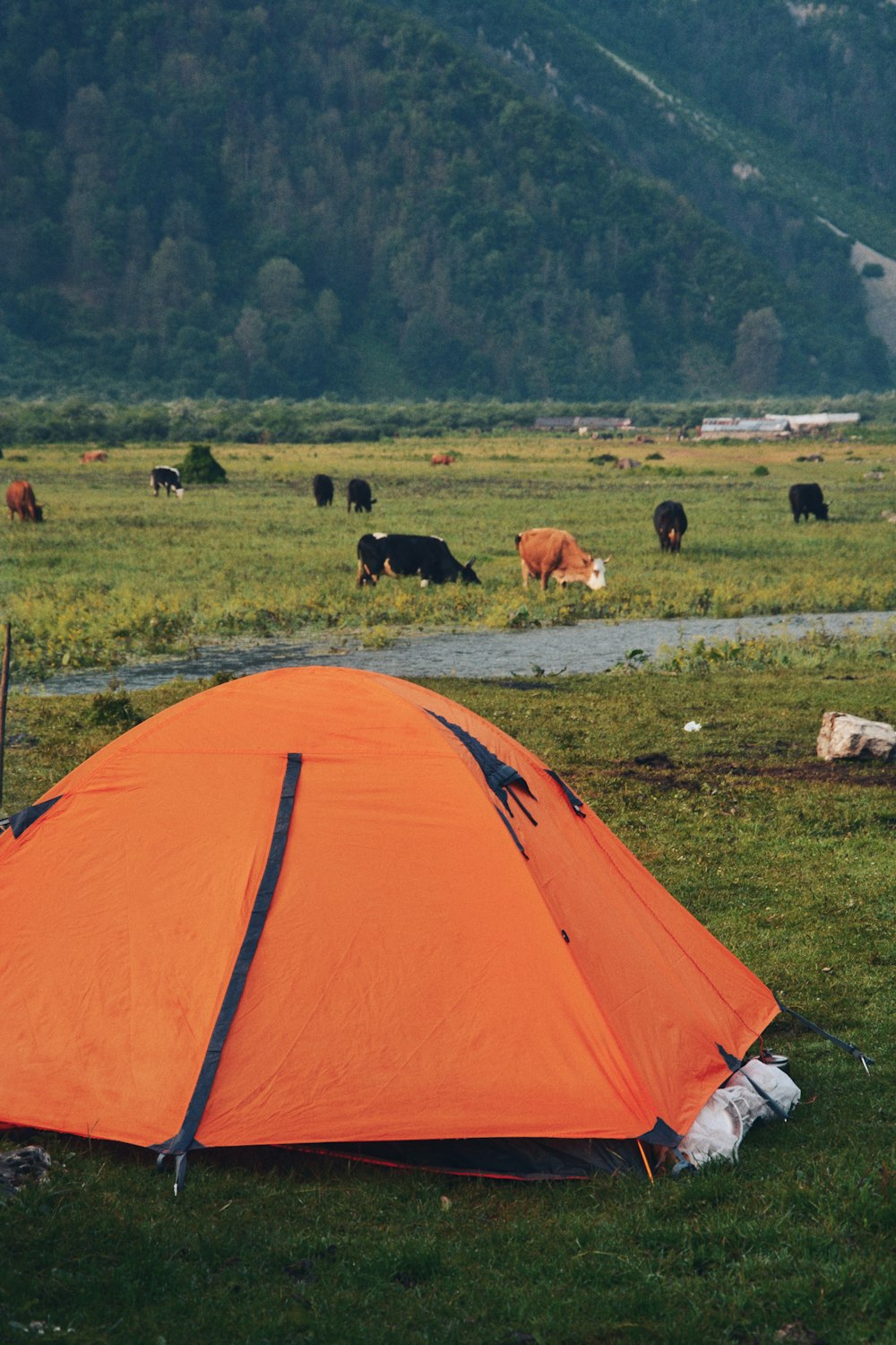 orange camping tent