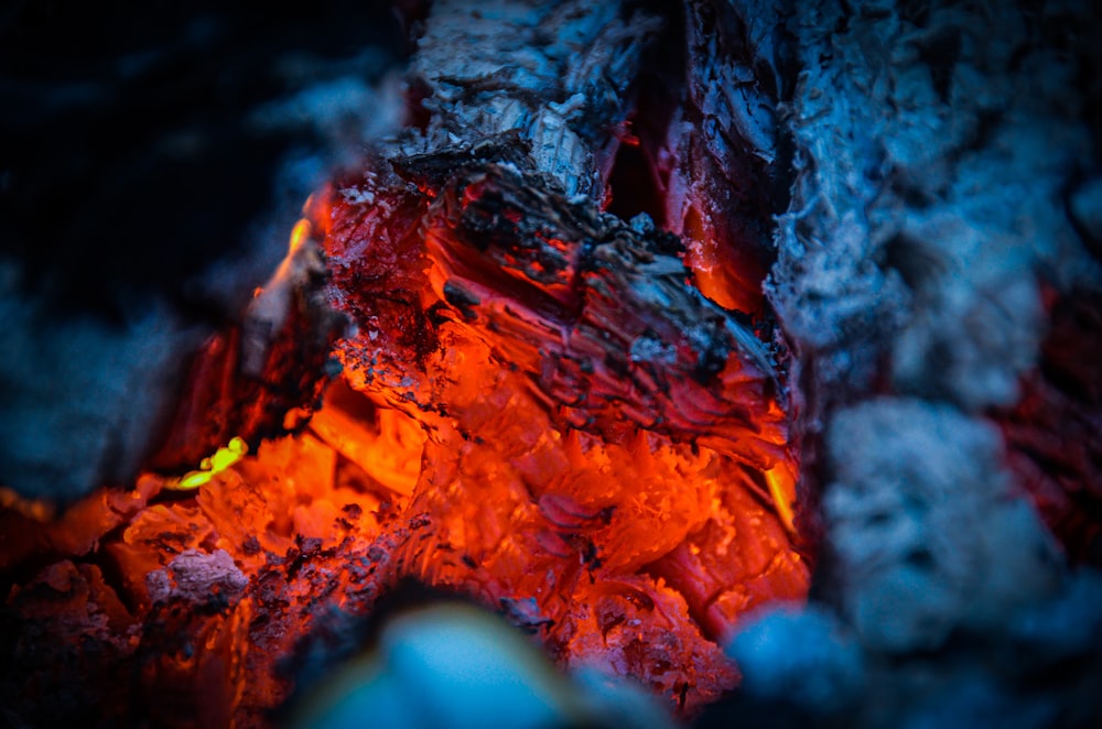 Verbranntes Holz in der Makrofotografie