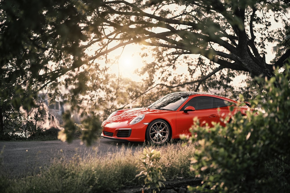 red car beside tree